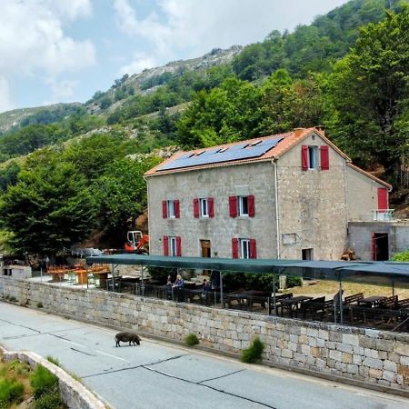 Ferme Auberge Du Col De La Vaccia Olivese Buitenkant foto