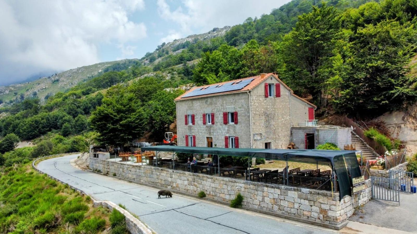 Ferme Auberge Du Col De La Vaccia Olivese Buitenkant foto